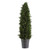 Uttermost Cypress Cone Topiary