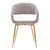 Jocelyn Mid-Century Grey Dining Accent Chair with Gold Metal Legs