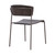 Nick Walnut and Metal Open Back Dining Accent Chairs (Set of 2)