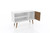 Manhattan Comfort Liberty 42.52" Mid-Century - Modern TV Stand with 2 Shelves and 1 Door in White and Rustic Brown