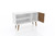 Manhattan Comfort Liberty 42.52" Mid-Century - Modern TV Stand with 2 Shelves and 1 Door in White and 3D