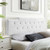 Juliet Tufted Full/Queen Performance Velvet Headboard MOD-6185-WHI