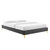 Amber Tufted Performance Velvet Twin Platform Bed MOD-6778-CHA