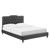 Amber Performance Velvet Twin Platform Bed MOD-6779-CHA