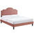 Aviana Performance Velvet Queen Bed MOD-6829-DUS