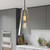 Beacon 1-Light Pendant Light EEI-5644-CLR-SBR