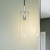 Skylark Pendant Light EEI-5652-CLR-PON