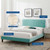 Phillipa Performance Velvet Twin Platform Bed MOD-6900-MIN