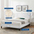 Phillipa Performance Velvet Full Platform Bed MOD-6924-WHI