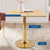 Verne 35" Square Dining Table EEI-4745-GLD-NAT