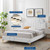 Sienna Performance Velvet Queen Platform Bed MOD-6712-WHI