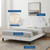 Sienna Performance Velvet Queen Platform Bed MOD-6714-WHI