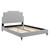 Lindsey Performance Velvet Queen Platform Bed MOD-6704-LGR