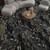 Nixiey Black Marble Look High Gloss Porcelain Tiles
