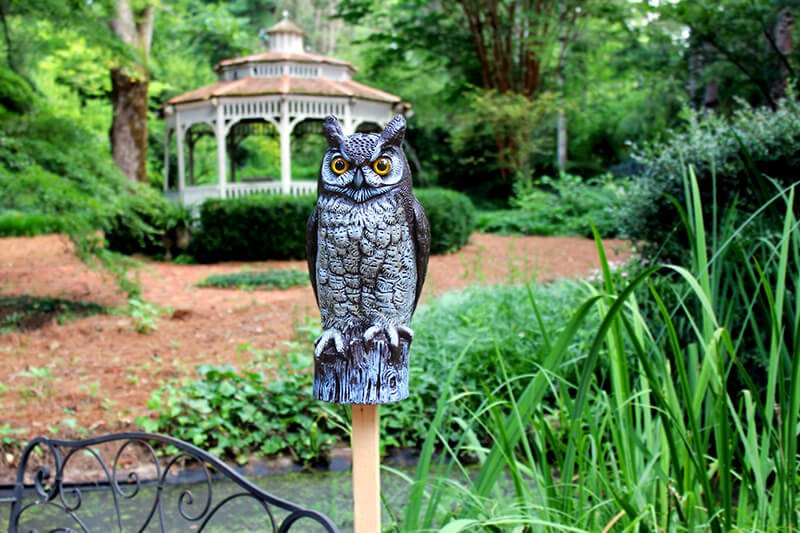 Great Horned Owl Natural Enemy Scarecrow® - Berries Unlimited USA