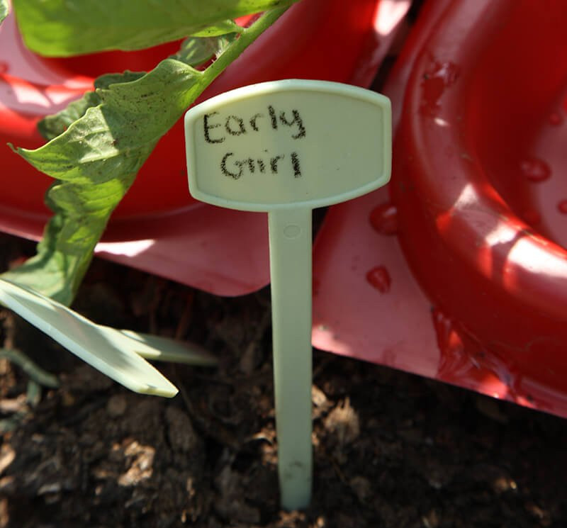 Plant Markers Gardening Supplies Berries Unlimited