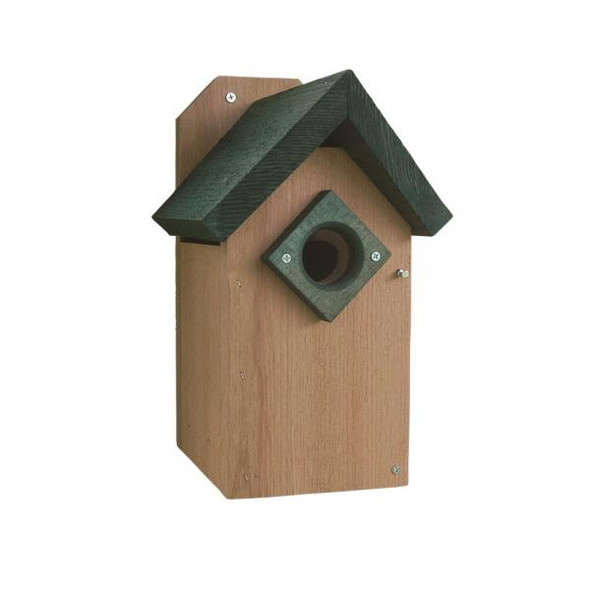 BlueBird House Green Roof