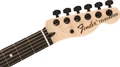 Fender Jim Root Telecaster in Flat White - 0134444381 (5).jpg