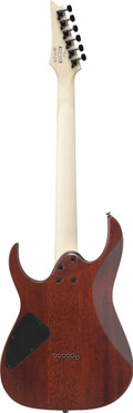 Ibanez RG421S-SEM Electric Guitar in Sea Shore Matte - RG421S-SEM-Ibanez-RG421S-SEM-Electric-Guitar-in-Sea-Shore-Matte-Back.jpg