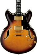 Ibanez JSM100 John Scofield Guitar in Vintage Sunburst - JSM100VT (1).jpg