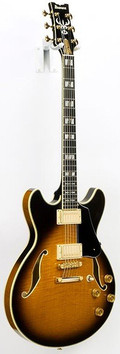 Ibanez JSM100 John Scofield Guitar in Vintage Sunburst - JSM100VT (4).jpg