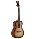 Alvarez DELTADELITE Delta DeLite Mini Acoustic Guitar - 294677-1536681296331.jpg