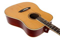 Sire Larry Carlton A4 Dreadnought Electro Acoustic in Natural - 469777-R4LCNAT (9).jpg