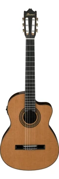 Ibanez GA6CE Classical Guitar in Amber - 447669-GA6CEAM.jpg