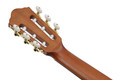 Ibanez FRH10N-IBF Electro Acoustic in Rose Gold Metallic Flat - FRH10N-RGF-FRH10N_RGF_5B_01_K.jpg