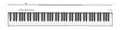 Roland FP-30X Digital Piano in White - 426610-FP-30X PIF EN-5.jpg