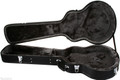 Epiphone Case for the Jack Casady Bass - 76219-tmp11BE.jpg