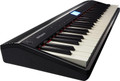 Roland Go 61 Key Digital Piano in Black - 148617-tmp765C.jpg