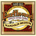 Ernie Ball Earthwood Mandolin Strings Medium - 13131-EB2065_super.jpg