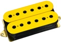 Dimarzio Super Distortion Humbucker in Yellow - DP100YBK-DP100Y+BK-Hero.jpg