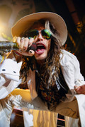 sE Electronics V7 MC1 Dynamic Mic CAPSULE ONLY in Black - Steven Tyler.jpg