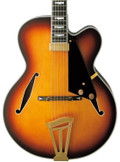 FGN Masterfield MFA-FP Hollowbody Electric Guitar in Jazz Burst - MFAFP-JB-1.jpg