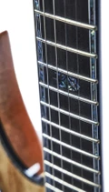 BC Rich Extreme Series Warlock Exotic Electric Guitar with Floyd Rose in Spalted Maple - 514781-BC-Rich-Extreme-Series-Warlock-Exotic-Floyd-Rose-Spalted-Maple-Fingerboard.jpg