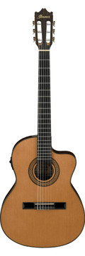 Ibanez Thinline Classical Electro Acoustic in Amber - 447666-GA5TCE-AM.jpg