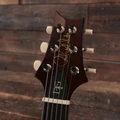 PRS DGT McCarty Tobacco Sunburst Moon Inlays - DGM2FNHGIC3MTS-0360685-5.jpg