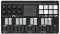 Korg NanoKey Studio Mobile MIDI Keyboard - 100389-nanoKEY_Studio_top_rgb_g.jpg