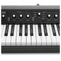 Korg SV2-88 88-Key Stage Piano - SV2-73 (10).jpg
