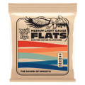Ernie Ball Medium Light Flatwound Electric Guitar Strings 12-52  - P02582.jpg