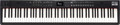 Roland RD-88 EX Stage Piano - RD-88EX_T.jpg