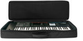 Analog Cases SUSTAIN Case for Roland Juno-DS61 or Yamaha MX61 - 54-90155-Analog-Cases_Sustain_Juno-DS61_Front-Full.jpg