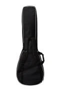 Epiphone Jack Casady Fretless Bass Guitar With Premium Gig Bag Aged Royal Tan - EOJCBARTNH1F_gigbag_back.jpg