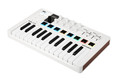 Arturia MiniLab 3 25-note MIDI Keyboard & Controller White - 231501-2RESIZE.jpg