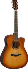 Yamaha TAG3C Trans Acoustic in Sand Burst - TAG3C-BS_a_0001.jpg