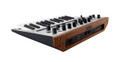Korg Monologue Monophonic Analog Synthesizer in Silver - 508252-1651063431052.jpg