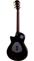 Taylor Exotic Top T5z Classic in Hawaiian Koa - Taylor-T5z-Custom-1203133141-BackLeft-2023.jpg
