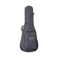 Martin 00-10E Special  - 00-10E Special_Case.jpg